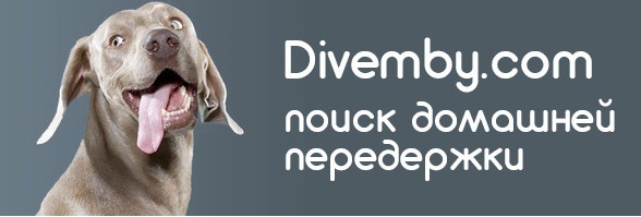Divemby - сервис по передержке питомцев в домашних условиях - О сервисе Divemby - divemby.ru