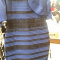 Отзыв о Какого цвета платье? (Опрос): 