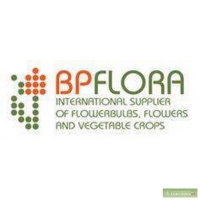 Компания BPFlora отзывы