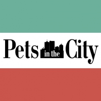 Интернет-магазин товаров для животных City-Pets.ru отзывы