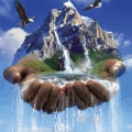 Отзыв о Доставка артезианской воды "Голден айс": Доставка артезианской воды Голден Айс