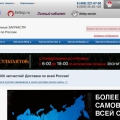 Отзыв о Seltop.ru интернет-магазин: Запчасти к технике бытовой, садовой