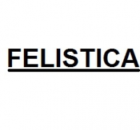 Компания Felistica