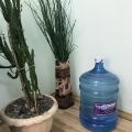 Отзыв о Компания Нестарица: Мне и моим детям нравиться пить чистую воду!