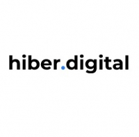 Hiber.Digital консалтинговая компания