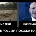 Отзыв о Передача 60 минут: Куратор скабеевых