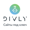 Отзыв о Divly: Отличный сервис