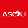 Отзыв о Сервисный центр Ascoli: стандарт