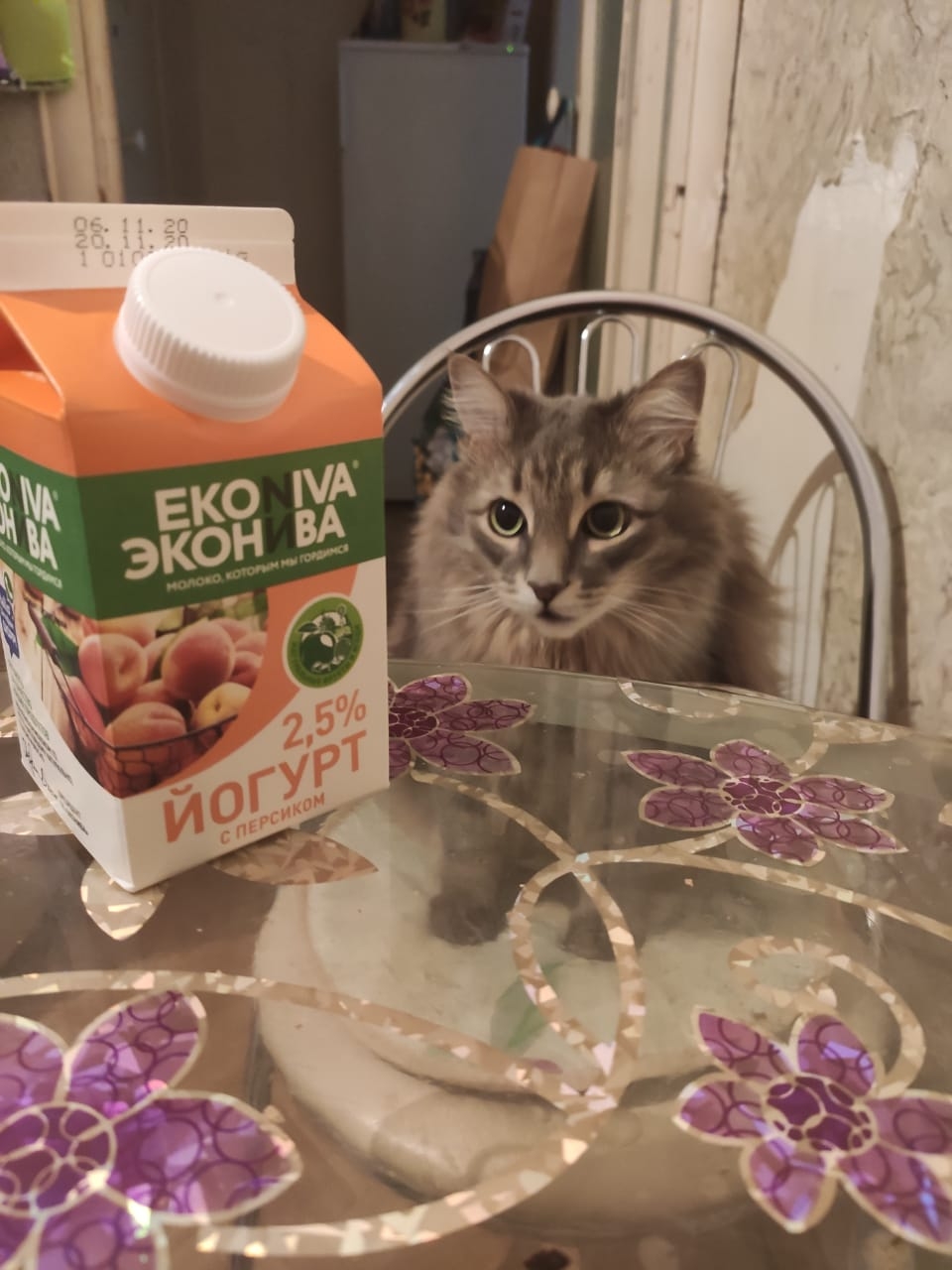 ЭкоНива-АПК Холдинг - У меня даже кот балдеет от персикового йогурта