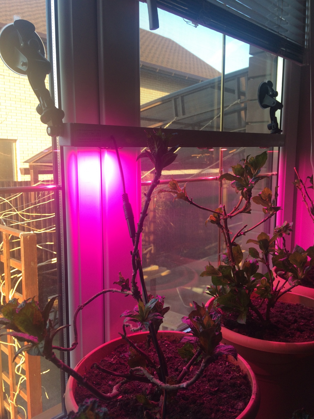 фито светильник - Оконная светодиодная лампа для растений "Васат" 30Вт