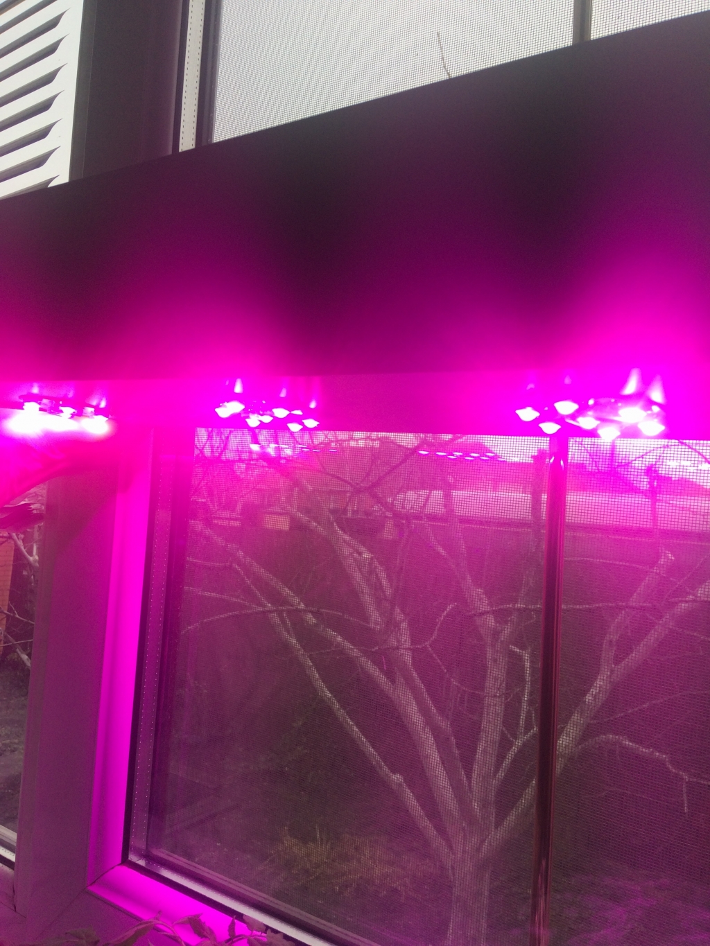 Светильник для растений в оранжереях "Зосма" 63Вт - Светильник для растений в оранжереях "Зосма" 63Вт