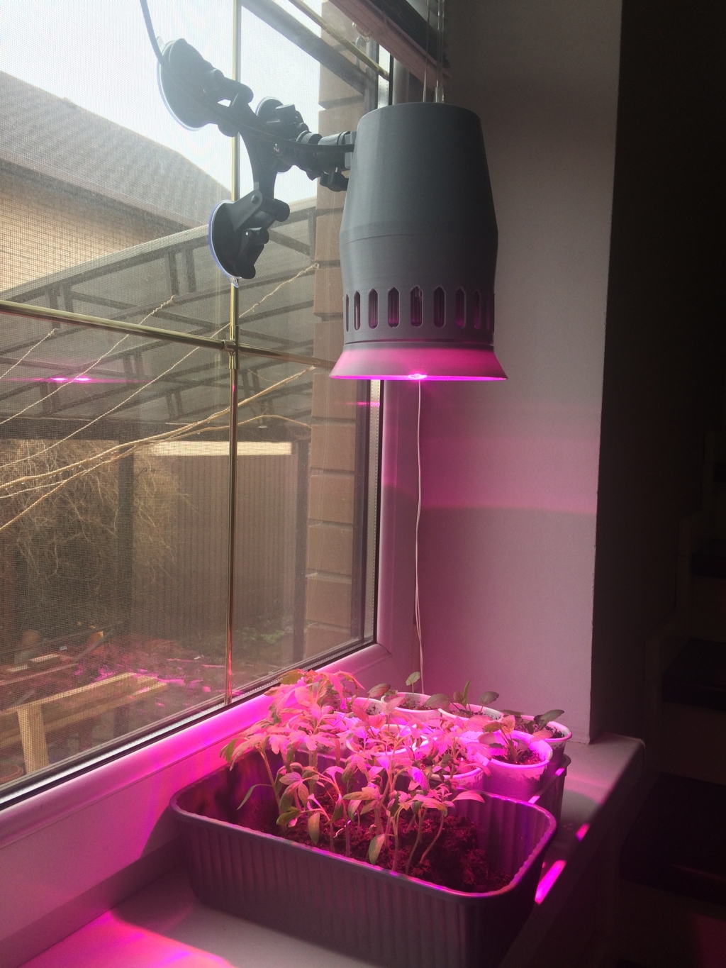 Оконный светильник для растений на тройной присоске с регулируемым кронштейном "Эниф" мощностью 20-5 - Оконный светильник для растений "Эниф"