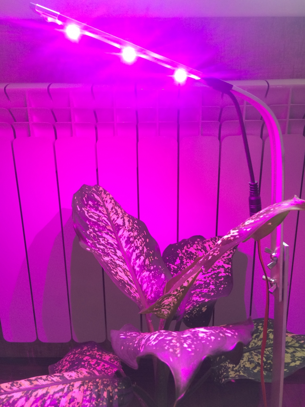 Подсветка для растений в горшках "Фейт" - Подсветка для растений в горшках "Фейт"