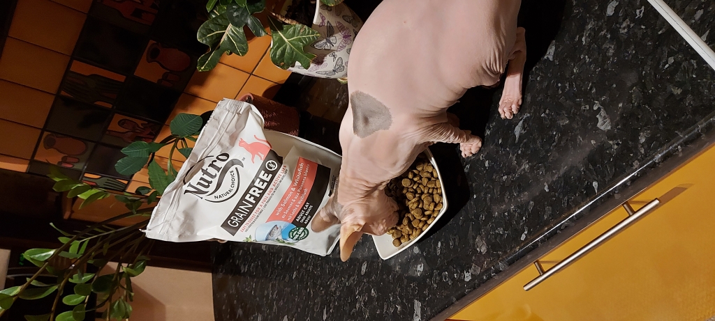 Сухой корм для кошек Nutro - Супер премиум корм для моего сфинкса