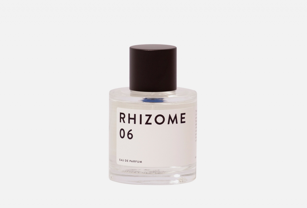 Rhizome - 06