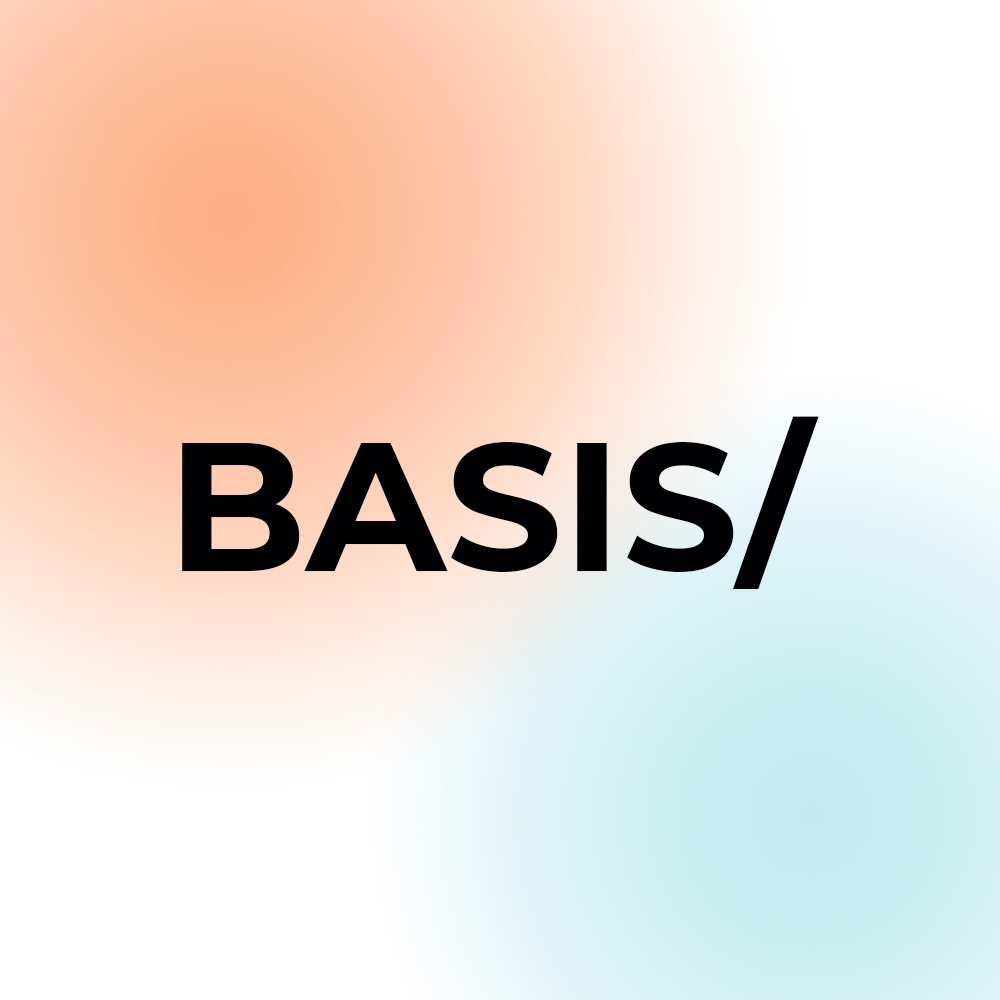 BASIS - маркетинговое сопровождение бизнеса - 