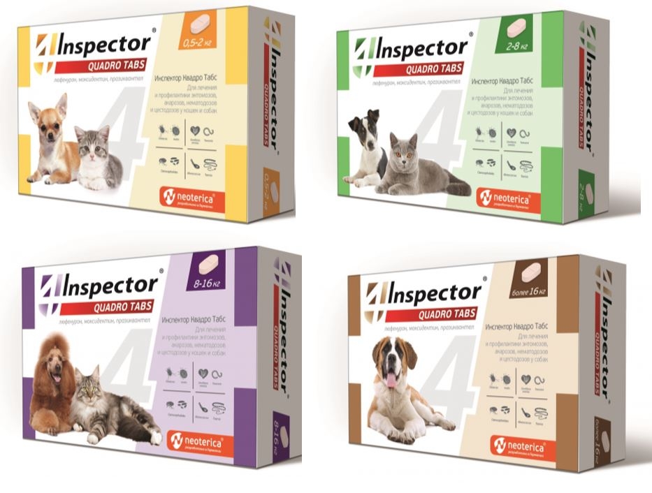 Neoterica таблетки Inspector Quadro - одна таблетка на кота и собаку (с котом приключений чуть больше)