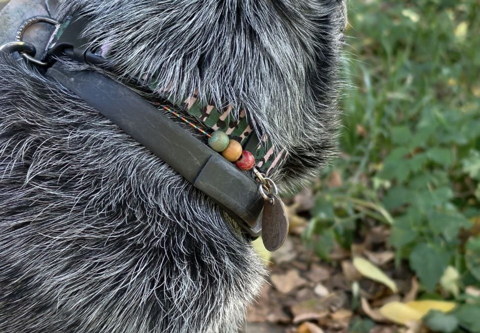 Адаптил - Ошейник для спокойствия в транспорте